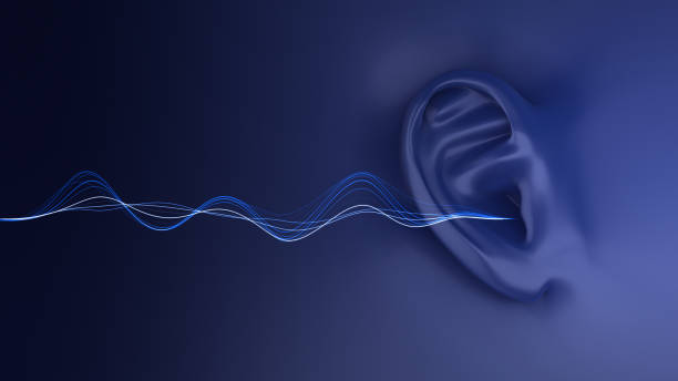 音波を聞く人間の耳 - equipment human ear sound music ストックフォトと画像