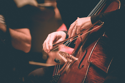 Photo of a musician playing double bass. Just a hand detail.