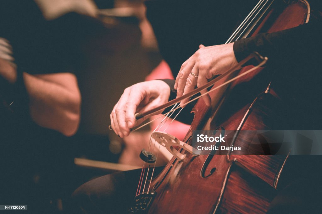 It is all about the bass Photo of a musician playing double bass. Just a hand detail. Classical Music Stock Photo
