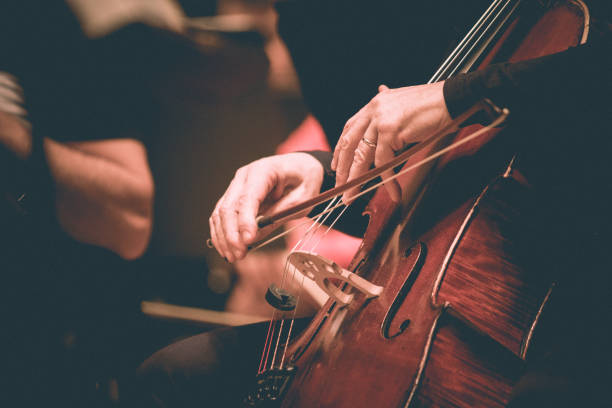 It is all about the bass Photo of a musician playing double bass. Just a hand detail. string instrument stock pictures, royalty-free photos & images