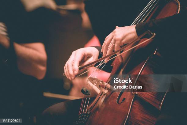 It Is All About The Bass Stock Photo - Download Image Now - Classical Music, Violin, Double Bass