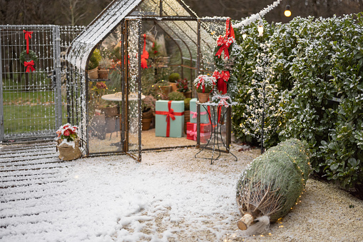 Beautifully decorated backyard with gift boxes, christmas tree and wreaths on winter holidays at backyard