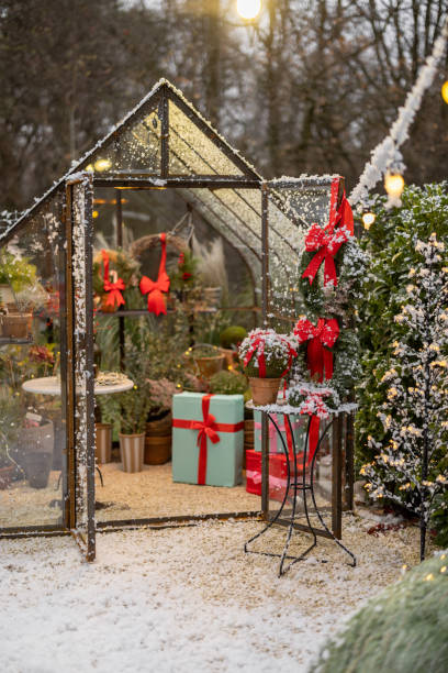 istock Beautifully decorated backyard for winter holidays 1447125336