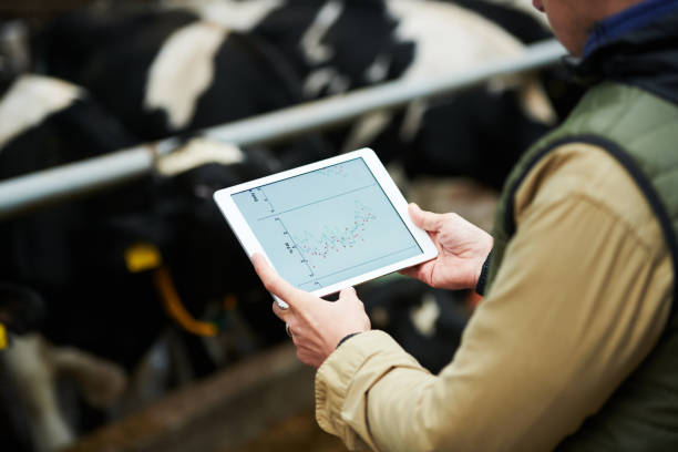 istock Digital tablet with graphic information on screen in hands of farmer 1447128563