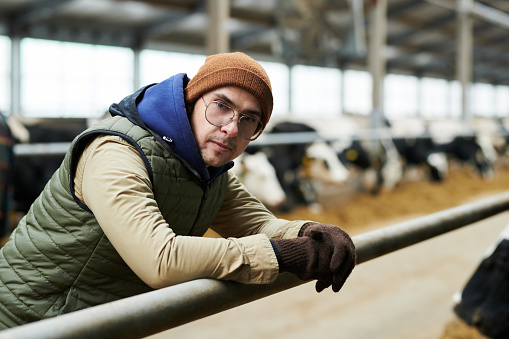 Young serious farmer in eyeglasses, beanie cap and workwear looking at camera while bending over cowshed against row of dairy cows