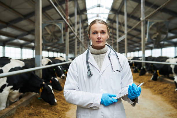 istock Young confident veterinarian in whitecoat and gloves holding digital tablet 1447128689