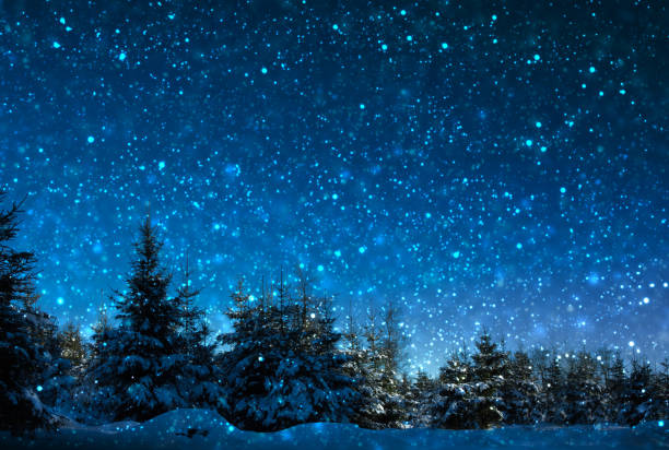 istock Winter Christmas landscape. White trees in forest and snowfall . 1447135074
