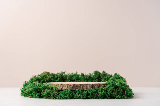 istock Wooden podium surrounded by moss on a beige background 1447135942