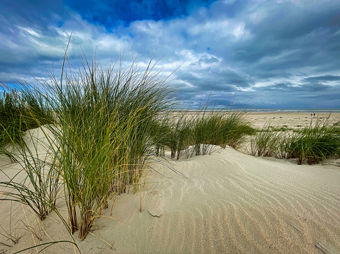 Panoramic landscape background banner panorama of sand dune, beach and ocean North Sea with blue sky, clouds and sunbeams