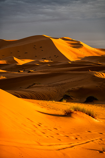 Warm late afternoon light close to sunset shining over the majestic Namibian Desert Sand Dunes at Sossusvlei, Sesriem, Namib-Naukluft National Park, Namibia, South West Africa.