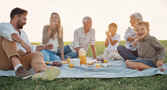 Love, picnic and family happiness with people smile and relax at a park or field, bonding and having fun. Happy kids enjoy weekend holiday with grandparents and parents, love and food in Germany