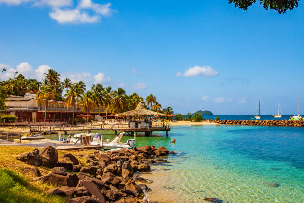 istock Tropical beach in a Caribbean island 1447138342