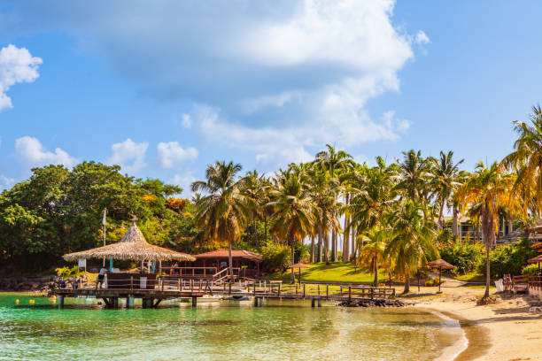 istock Tropical beach in a Caribbean island 1447138361
