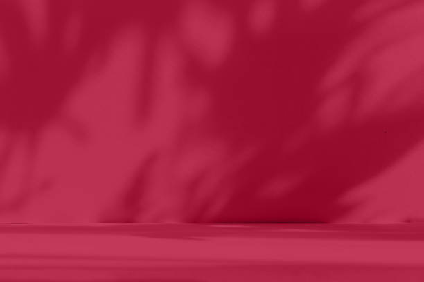 istock Abstract red studio background for product presentation. Empty room with shadows of window and flowers and palm leaves . 3d room with copy space. 1447138405