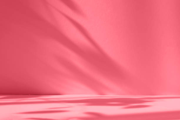 istock Abstract red studio background for product presentation. Empty room with shadows of window and flowers and palm leaves . 3d room with copy space. Trendy Color of the Year 2023 viva magenta 1447138414