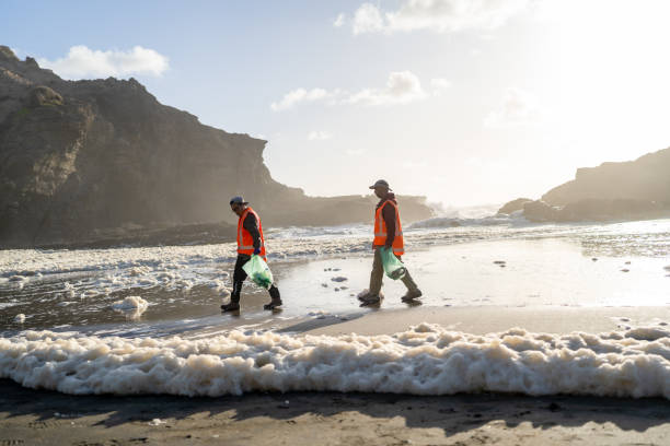 istock Cleaning the beach of plastic waste 1447138595