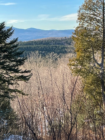 Wilderness north of Rangeley Lake