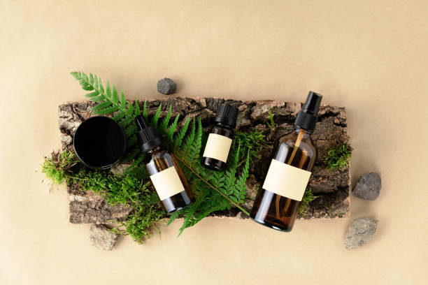 Unlabelled cosmetic bottles on natural beige background, natural moss over branches, bark. Skin care, organic body treatment, spa concept. Vegan eco friendly cosmetology product. Organic cosmetics stock photo