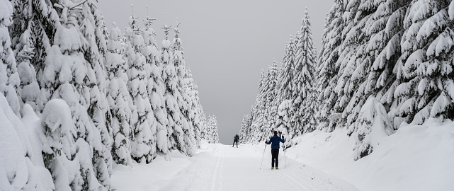 Cross-country skiing on winter day. Skiers on cross-country trail in natural landscape of Jizera Mountains, Czech Republic