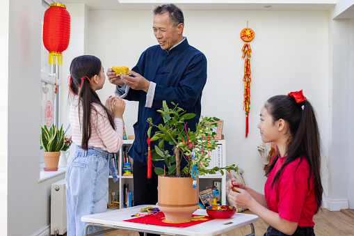 A family decorating a houseplant with fish ornaments in their living room for Chinese New Year at their home in Newcastle Upon Tyne, England. The patterned fish ornaments symbolise wealth and prosperity coming into the new year.