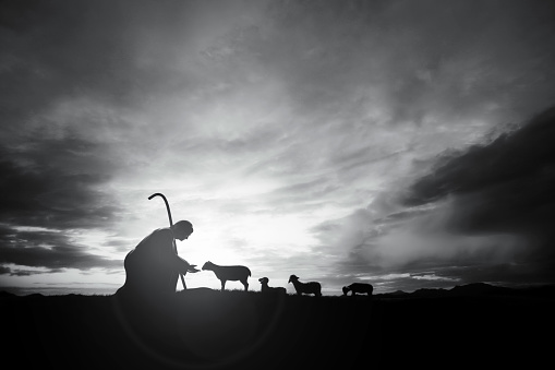 Shepherd Jesus Christ taking care of the lamb and a flock of sheep on the meadow with a brightly rising sunrise landscape