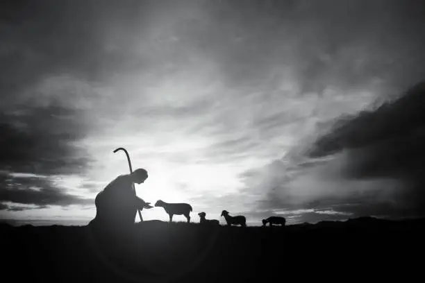 Photo of Shepherd Jesus Christ tending sheep and sunrise landscape