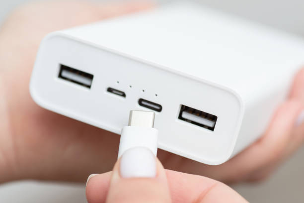 istock Powerbank with different usb ports - Type A, Micro USB and Type C 1447151856