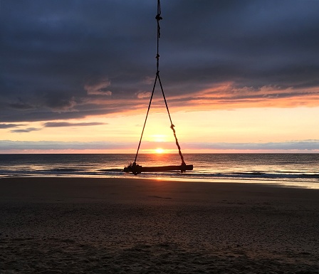 A rope swing hanging over Cow Bay Beach during a beautiful sunrise in Australia.