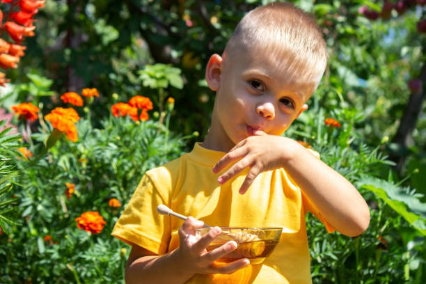 child eats honey in the garden. Nature child eats honey in the garden. Nature. selective focus autumn copy space rural scene curing stock pictures, royalty-free photos & images