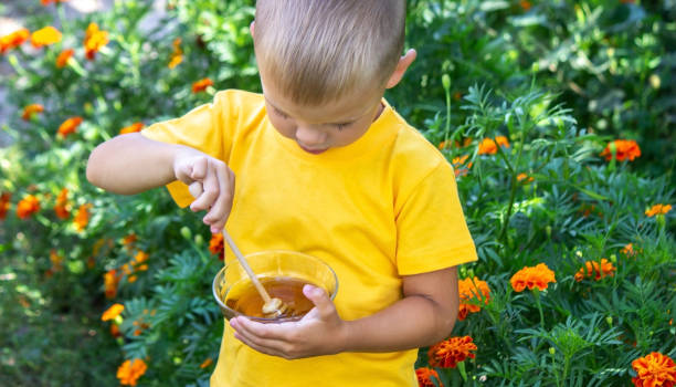 istock child eats honey in the garden. Nature 1447153253