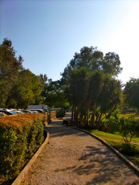 istock Public Park in Islamabad Pakistan 1447156530