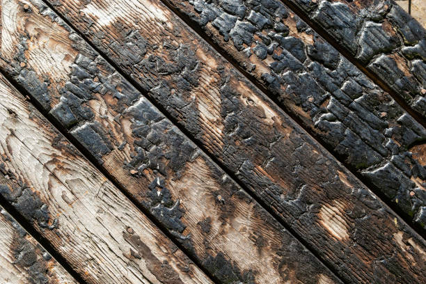 Close-up of burning piece of wood