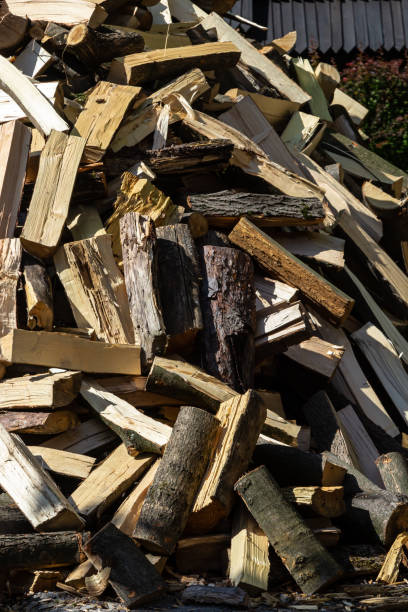 istock logs lie on the ground after logging. firewood is prepared for heating 1447162668