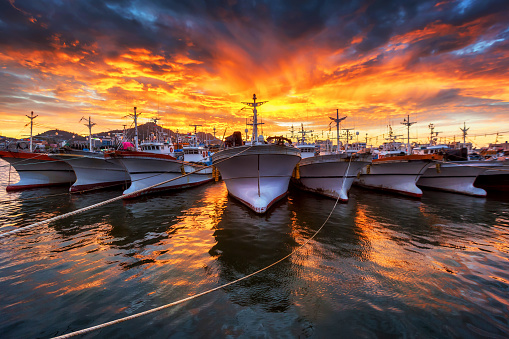 aligned fishing boats in the sunset
