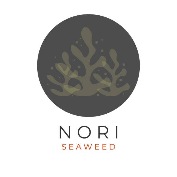 Simple Illustration Nori Seaweed Simple illustration of nori or seaweed processed into chips nori edible seaweed sheet stock illustrations