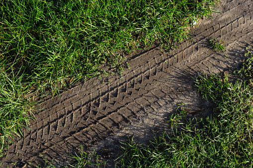 Deep tractor tire trail on a green grass in a field, Agriculture industry or work in a park concept.