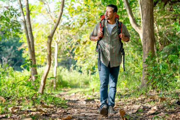 istock Asian smart man with backpack and accessories walk along the way during travel through a forest for rest and relax on holiday. 1447166687