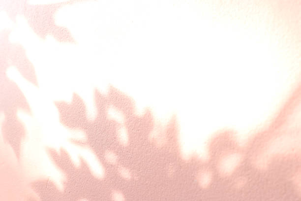 istock Light and shadow leaves on the cement wall. 1447172998