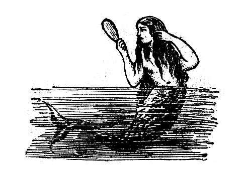 Antique engraving illustration: Mermaid