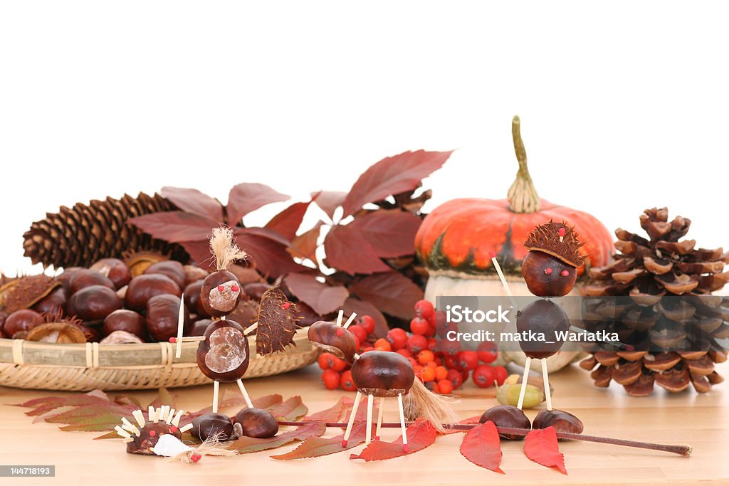 秋の装飾 - おもちゃのロイヤリティフリーストックフォト