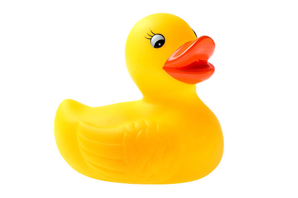 istock Close-up of a rubber duck on white background 144718744