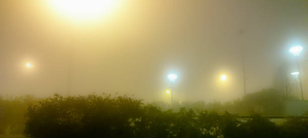 istock fog view and a lot of street lights behind some tree branches 1447188413