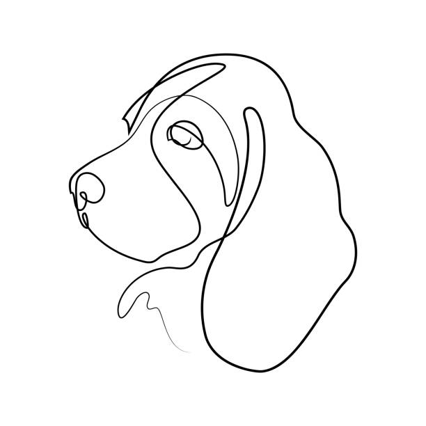 Dog portrait Dog portrait in continuous line art drawing style. Cute beagle puppy black linear sketch isolated on white background. Vector illustration bloodhound stock illustrations