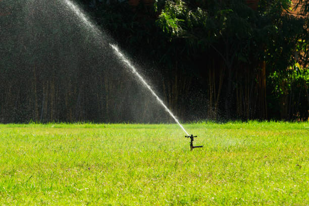 istock Automatic lawn sprinkler watering in the garden 1447190664