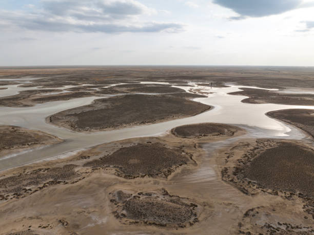 istock Natural shapes and textures on lake 1447190892