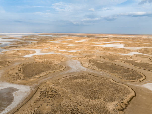 istock Natural shapes and textures on lake 1447190968