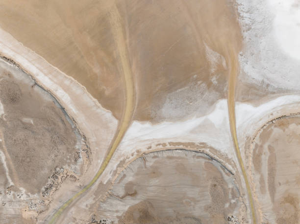 istock Natural shapes and textures on lake 1447191011