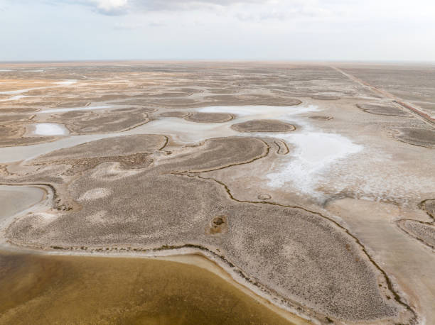 istock Natural shapes and textures on lake 1447191028
