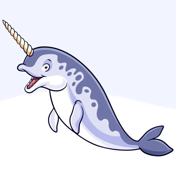 Vector illustration of Cartoon funny narwhal isolated on white background