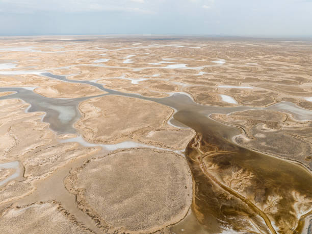 istock Natural shapes and textures on lake 1447191177